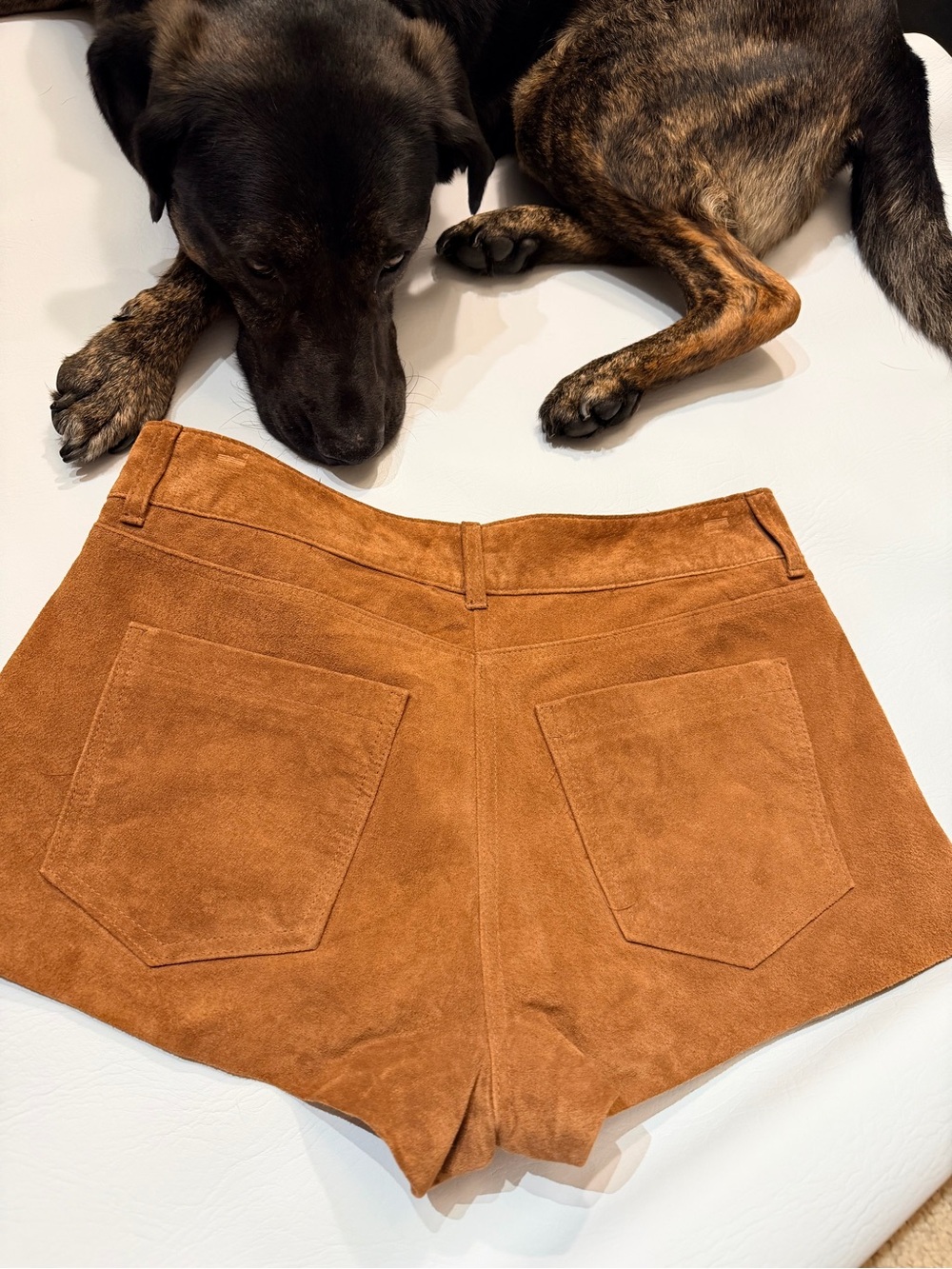 Shorts - Picture 5 of 7